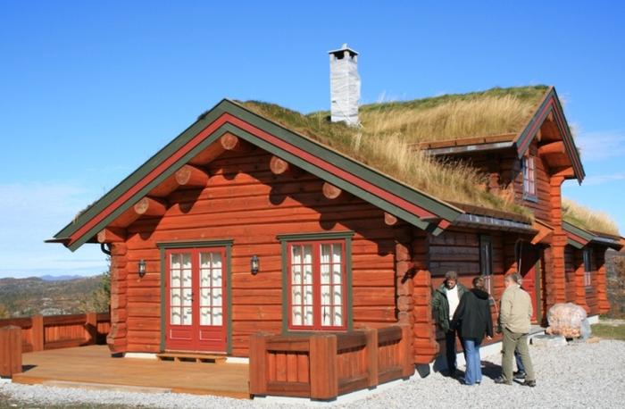 Фото - Внешний вид и технология строительства норвежского дома